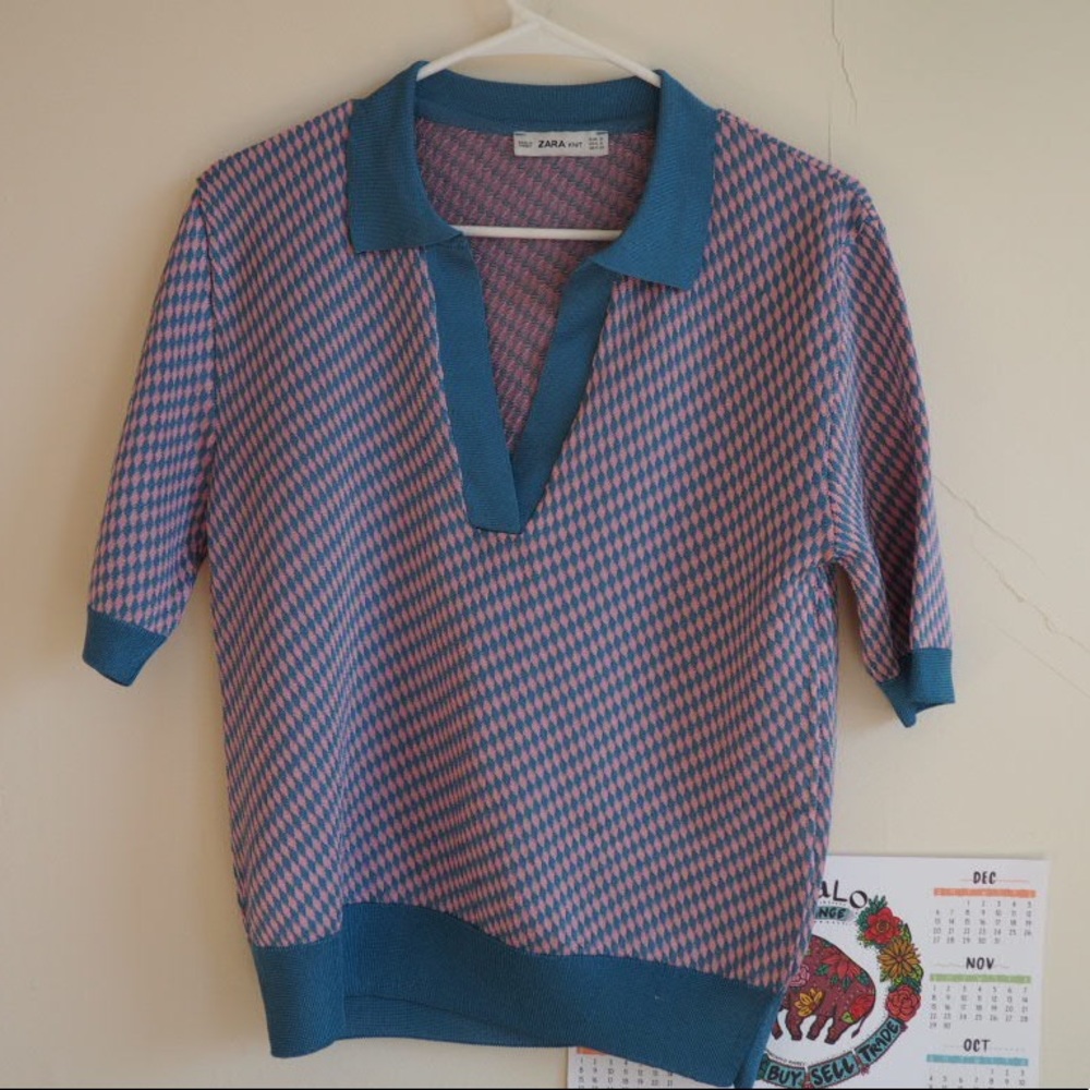 Zara Knit top